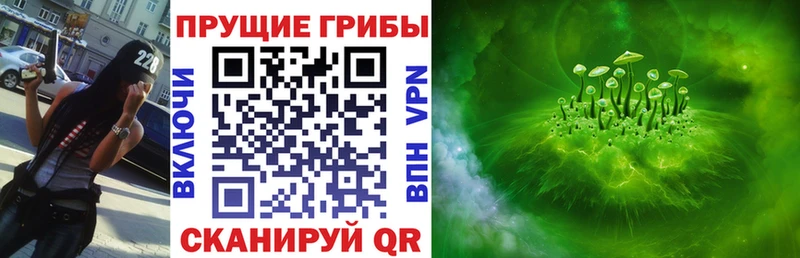 Псилоцибиновые грибы Magic Shrooms  Котельнич 